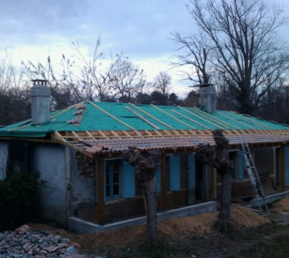 wpid-img_20110127_1801241